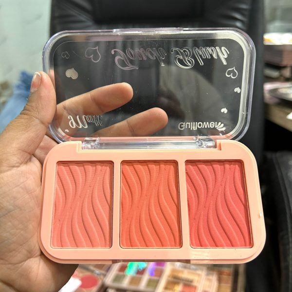 3 IN 1 BLUSHER