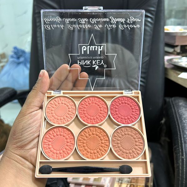 6 IN 1 BLUSHER PLATEE