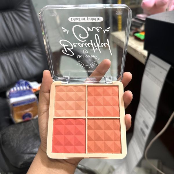 4 IN 1 BLUSHER