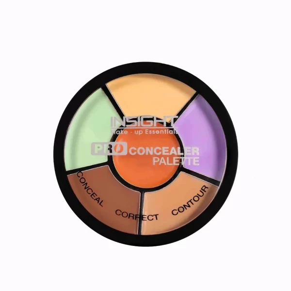 6 IN 1 CONCEALOR PLATEE